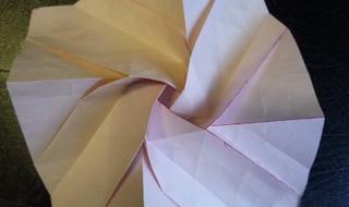玫瑰花的折法 玫瑰花折纸教程